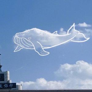 播放关于动漫美女操鸡
